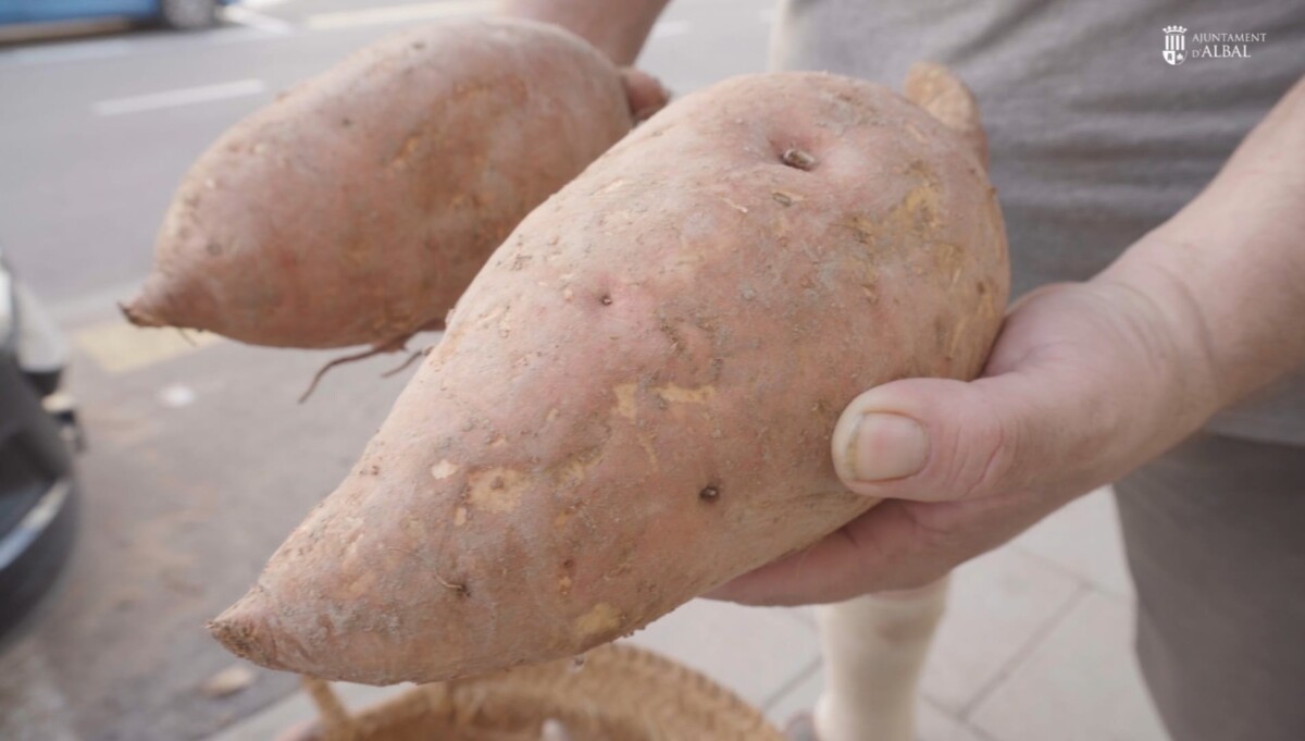  Albal reprendrà el 14 de desembre la Fira del Moniato amb activitats per a tots els públics