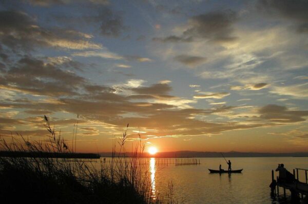 Visita nocturna Albufera valencia