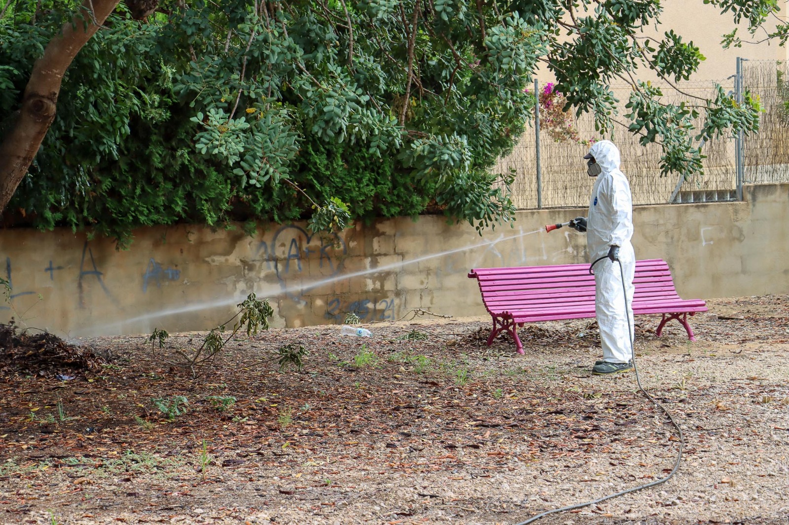 Torrent campanya mosquit tigre
