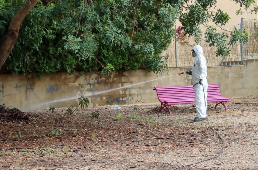  Torrent avança dos mesos la campanya contra el mosquit tigre per les altes temperatures