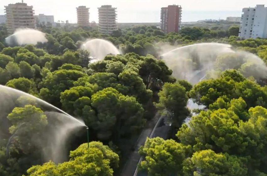València activa els canons d’aigua de la Devesa davant el risc extrem d’incendis