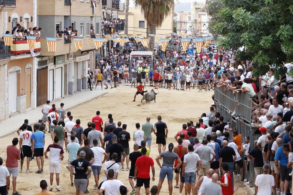 À Punt oferix en directe el dia gran de Puçol amb la desencaixonada de cinc bous