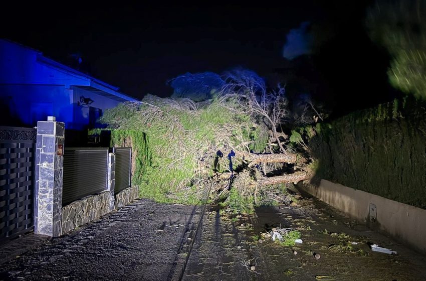  Ratxes de vent fins a 95,4 km/h deixen 16 incidències a Torrent durant la alerta taronja