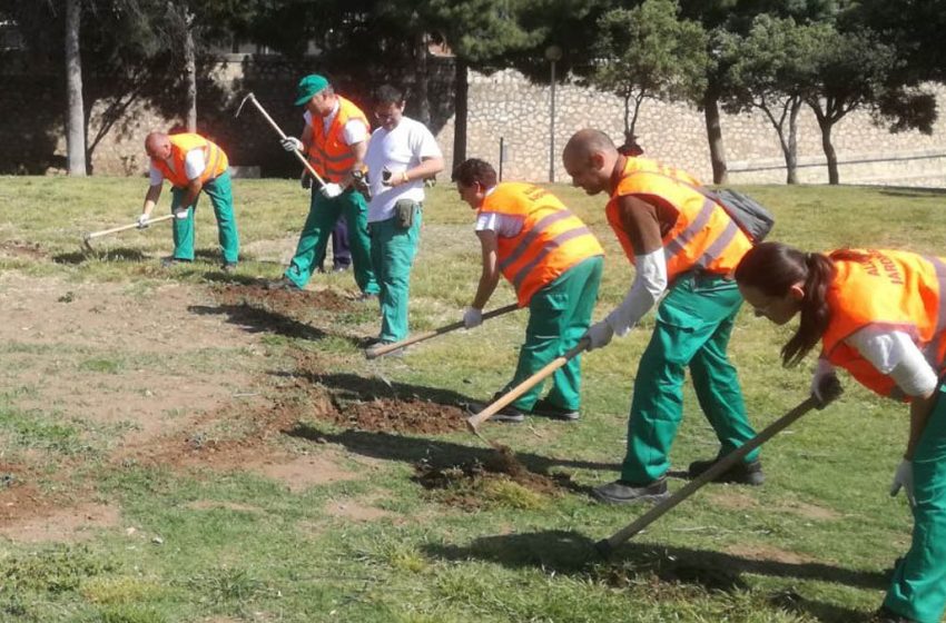  Comença el Pla DANA Ocupació 2026 per a reactivar l’ocupació en les pedanies de València