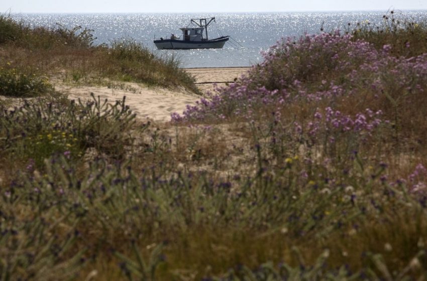  La Regidoria de Devesa-Albufera blinda la neteja d’este espai amb un contracte pioner de 269.622 euros