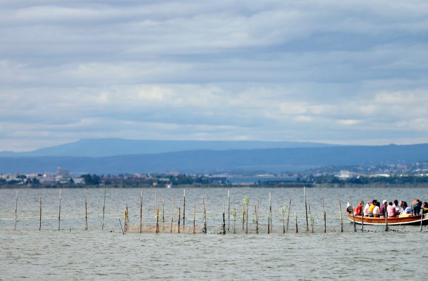  L’Ajuntament instal·larà carregadors elèctrics al Palmar i al Saler per a les embarcacions elèctriques de l’Albufera