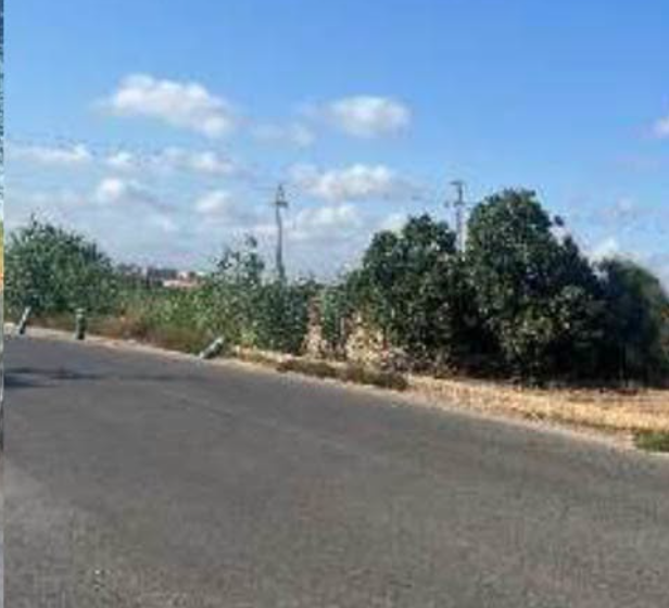  Prop de tres milions d’euros per a recuperar els camins rurals danyats per la riuada a Picanya