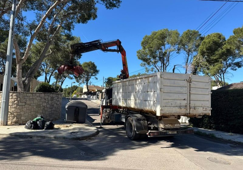  Paterna estrena un innovador servei municipal de recollida de poda amb cita prèvia a La Canyada