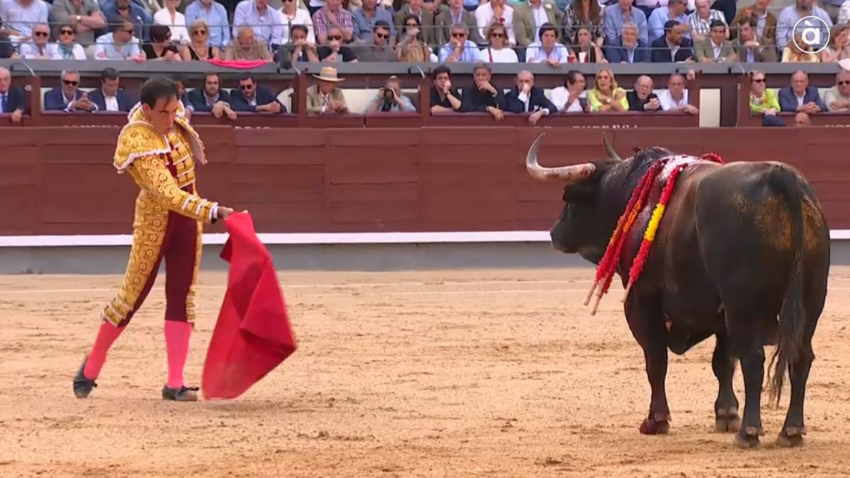 À Punt reaferma l’èxit de la seua aposta pels bous amb un cap de setmana de rècord que consolida este contingut com un dels més seguits de la radiotelevisió pública valenciana. Les retransmissions taurines d’À Punt radiotelevisió valenciana han rebut el suport de l’audiència amb xifres de rècord per a la cadena pública, tant pel 6’2% de dissabte com pel 8,7% de share d’ahir diumenge.

De fet, les 11 retransmissions de bous realitzades enguany per la cadena pública han reunit a 600.000 espectadors de la Comunitat Valenciana (l’11% de la seua població) amb una mitjana de 136.000 espectadors per cada emissió i una fidelitat del 37,2%.

Fa ara un any que la direcció d’À Punt va impulsar una aposta decidida pels continguts taurins, una línia que hui es veu plenament reforçada pel suport de l’audiència. Estes dades evidencien l’interés per una realitat profundament arrelada a la Comunitat Valenciana, vinculada a la memòria, les tradicions i la vida dels nostres pobles. En este context, la radiotelevisió pública reforça el seu paper com a servei essencial per a la societat, donant visibilitat a les expressions culturals que formen part del nostre patrimoni col·lectiu.

À Punt consolida així un model de servei públic que connecta amb la ciutadania i que aposta per reflectir la identitat i la pluralitat de la societat valenciana i les xifres de rècord registrades este cap de setmana així ho demostren.

Amb una mitjana de 90.000 espectadors al llarg de quasi 2 hores i mitja de retransmissió, la correguda d’ahir diumenge, 24 de maig, des de Madrid va registrar un 8’7% de share per a vore l’actuació dels toreros Fortes, Víctor Hernández i David de Miranda. En total 169.000 espectadors passaren per À Punt al llarg de la vesprada-nit per seguir este correguda de bous de Sant Isidre amb pics que arribaren al 10’8% de share.

La vesprada torera començà a les 18h amb el programa La plaça que presenta Jorge Casals. Amb 72.000 espectadors, este espai va servir d’aperitiu per a la faena que havien de fer els matadors amb els bous d’Alcurrucén. L’orella que va tallar David de Miranda i l’entrega de Fortes i Víctor Hernández va fer que À Punt fora la segona opció triada pels aficionats de tota la Comunitat Valenciana durant bona part de la vesprada d’ahir diumenge, sols superada per Antena 3, amb la narració del mateix Jorge Casals i els comentaris de l’ex torero, Manolo Carrión.    

Per la seua part, la correguda de dissabte, 23 de maig, des de Bocairent, va congregar en algun moment de la vesprada a 176.000 espectadors amb una audiència mitjana d’un 6’2% amb pics que arribaren al 9,5% de share. Com va passar ahir diumenge, esta retransmissió de bous es va convertir en diversos moments de la vesprada com a la segona opció dels valencians, sols per darrere en este cas de La 1.

A més, cal destacar que els bous s’han situat en el 5t lloc de programes d’entreteniment més vistos de la cadena en 2026 per darrere de les Mascletaes, les Falles, l’Atrapa’m si pots Llegendes i La Cuina de Morera.

A més del programa setmanal de televisió La plaça, cal recordar que À Punt emet divendres de vesprada l’espai  radiofònic Terra de bous, que presenta Germán Estela.

Continua La Fira de San Isidre per À Punt

La Fira de S.Isidre continua en la radiotelevisió pública valenciana, ja que À Punt retransmetrà des de Las Ventas les corregudes següents a partir de les 19h:

Dissabte 30 de maig. Ruí Fernandes, Diego Ventura i Lea Vicens (Ramaderia: Maria Guiomar Cortés de Moura)

Diumenge 31 de maig. Antonio Ferrera, Paco Ureña i Manuel Escribano. (Ramaderia:  Adolfo Martín)

Dissabte 6 de juny. Morenito de Aranda, Fernando Adrián i Román ( Ramaderia: Victorino Martín)

Diumenge 7 de juny. Borja Jiménez (Ramaderia: Cortés y Domingo Hernández)

Diumenge 14 de juny. Talavante, Víctor Hernández i Roca Rey (Ramaderia:  Victoriano del Río y Cortés).