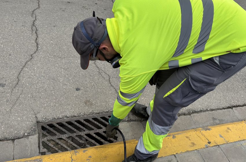  Manises reforça la campanya de fumigació amb tractaments ecològics per a previndre plagues