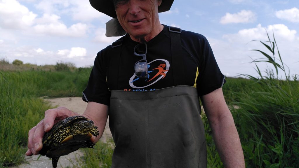 El Projecte Emys localitza divuit tortugues autòctones al Tancat de la Pipa