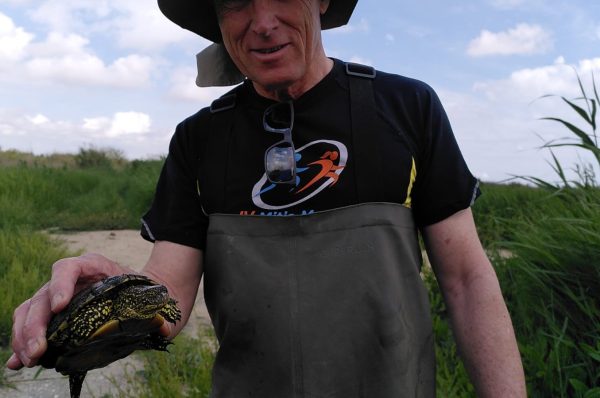 El Projecte Emys localitza divuit tortugues autòctones al Tancat de la Pipa