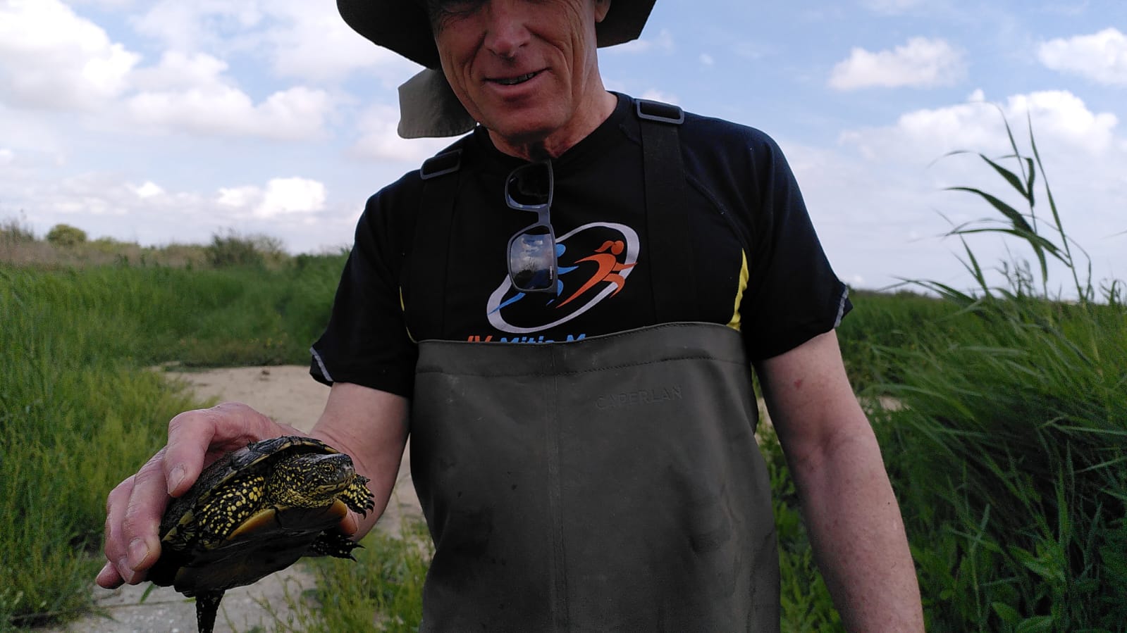  El Projecte Emys localitza divuit tortugues autòctones al Tancat de la Pipa