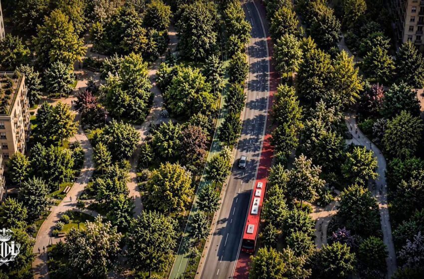  El passeig de García Lorca completarà amb el Parc Central el segon gran pulmó verd de València