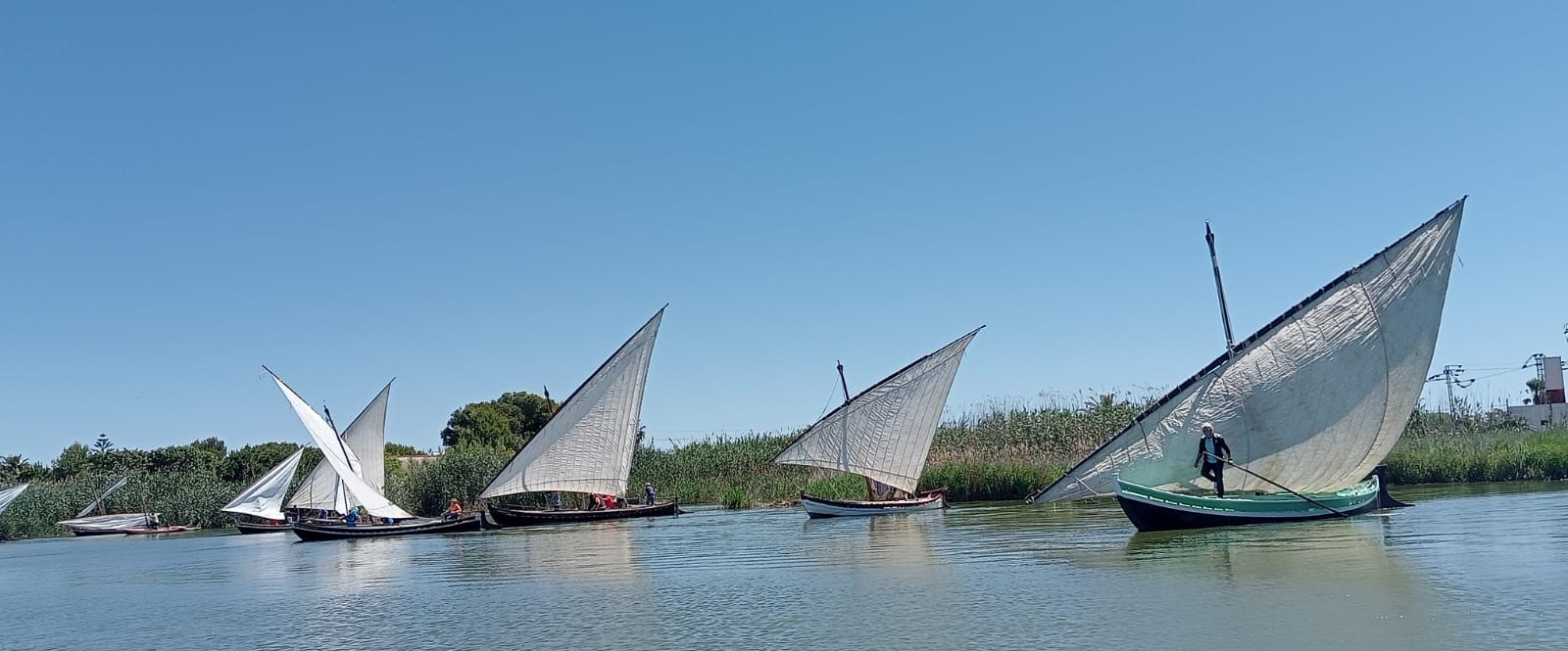 Vela Llatina 