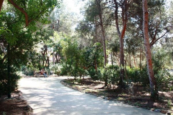 parque de eixereta burjassot