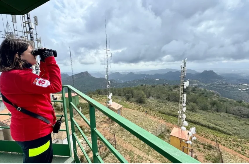  El Consell invertirà 93 milions en recuperar camins i infraestructures forestals danyades per la DANA