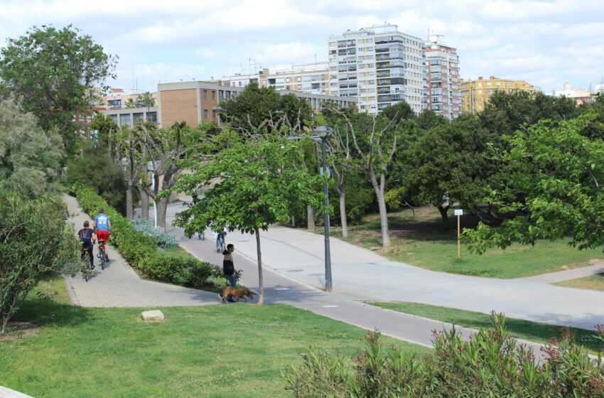  València il·luminarà els passos inferiors dels ponts del Jardí del Túria per a donar seguretat