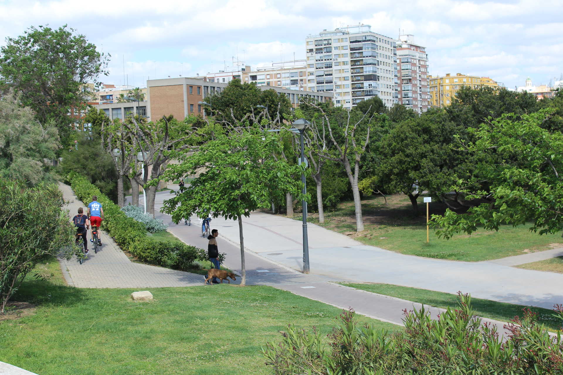 valencia jardin del turia