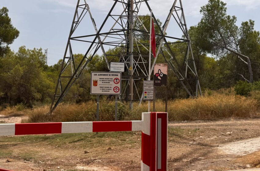  Paterna demana a la Generalitat tancar el bosc de la Vallesa quan es decrete nivell extrem d’incendi