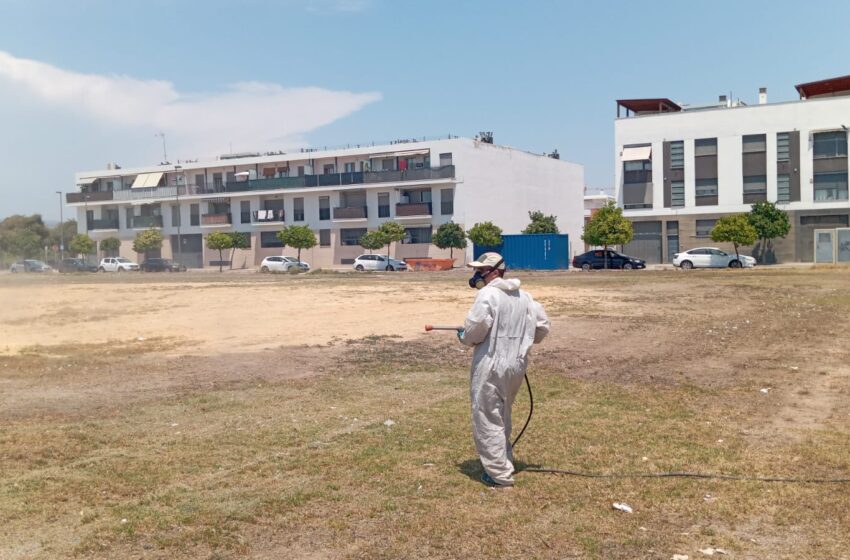  Massamagrell contracta persones desocupades per a la neteja i adequació de camins rurals