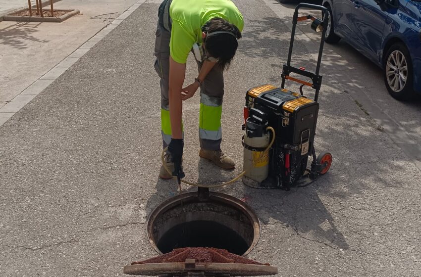  L’augment de les temperatures obliga a reforçar el control de plagues a La Pobla de Farnals