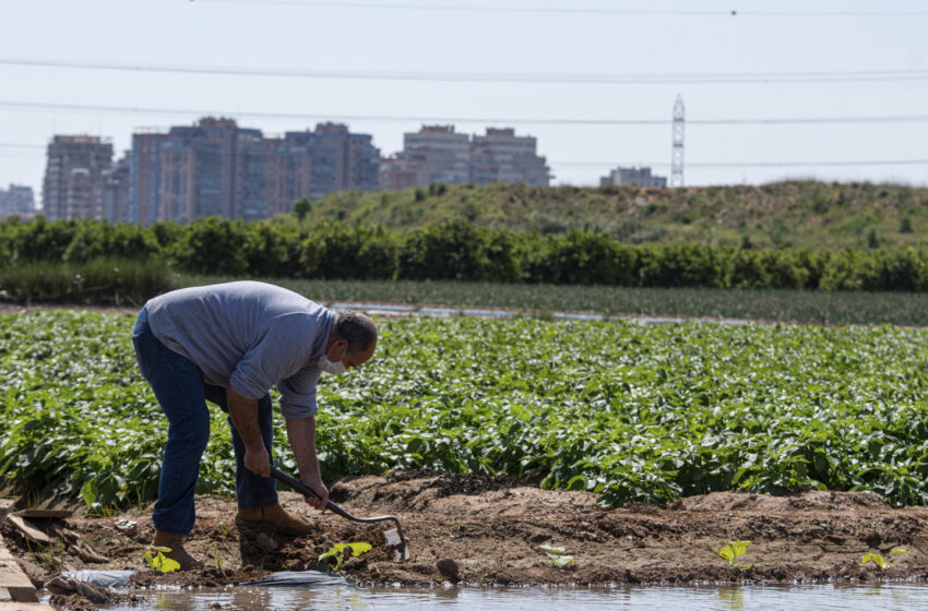  Compromís per Mislata rebutja l’accés nord de Mislata pel seu impacte ambiental