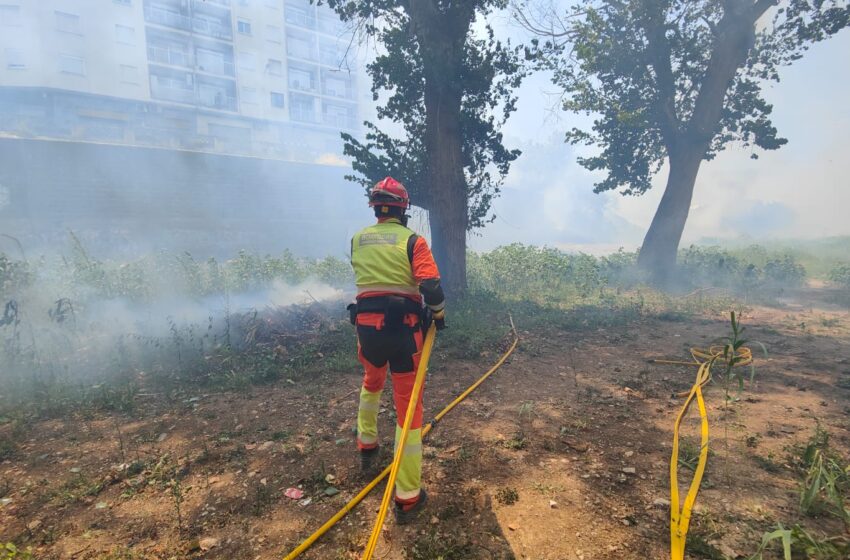  Mor una persona a l’incendi forestal del barranc del Salt de l’Aigua de Manises