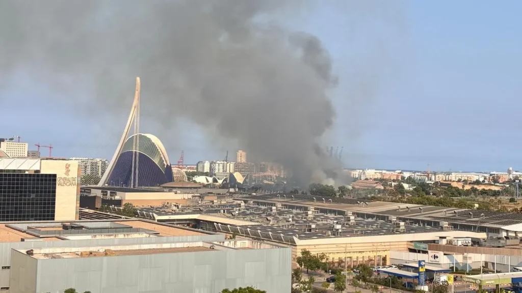 incendi zona oceanografic Valencia
