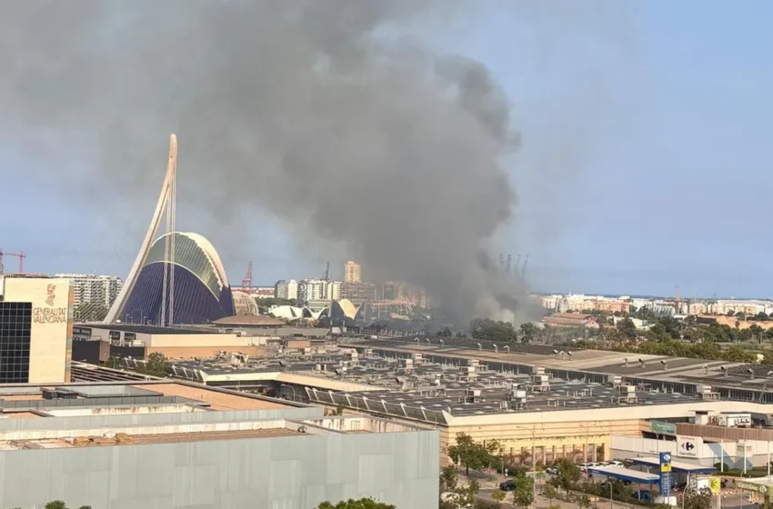  Extingit l’incendi de vegetació prop de l’Oceanogràfic, visible des de diversos punts de València