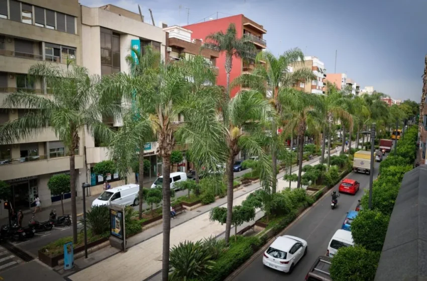  Torrent consolida la seua aposta per una ciutat més verda amb més de 11.300 arbres inventariats