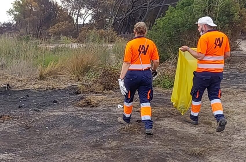  Els servicis de neteja de l’Ajuntament de València retiren una tona i mitja de residus de l’incendi del Saler