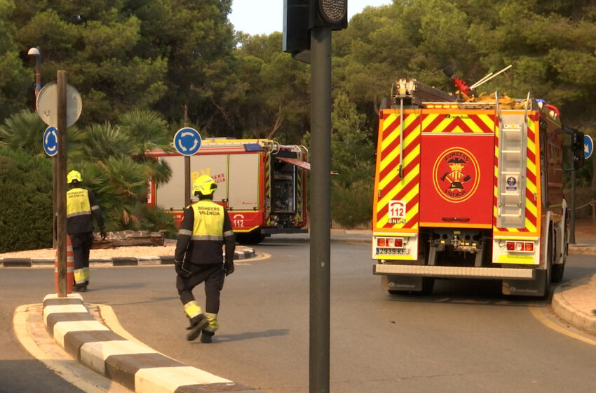 València revisarà els tallafocs de la Devesa després de l’incendi d’El Saler