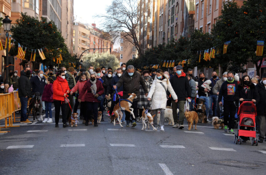  L’Ajuntament de València en bloc fa costat perquè la festivitat de Sant Antoni Abad del carrer Sagunt siga Festa d’Interés Turístic Nacional