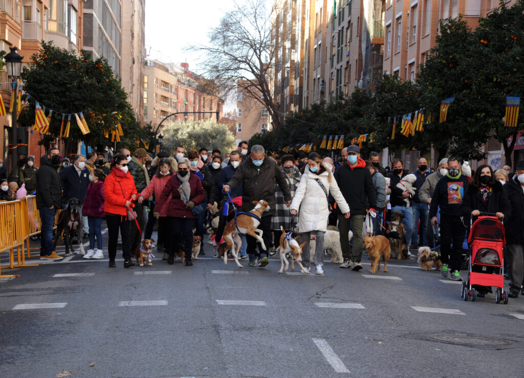 Sant Antoni Abat en Valencia