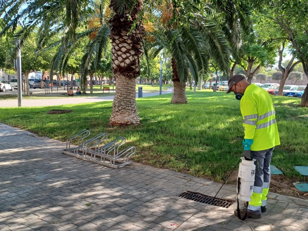 Tratamientos mosquito tigre en Paterna
