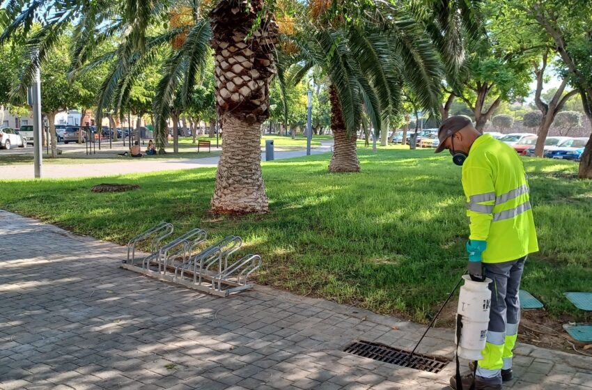  Els tractaments contra el mosquit tigre es reforcen a la Canyada i altres zones de Paterna