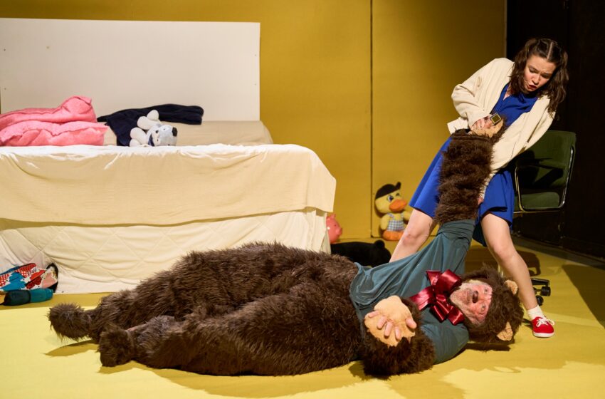  El Teatre Rialto obri la seua programació d’octubre amb l’estrena de ‘Tristesa i alegria en la vida de les girafes’