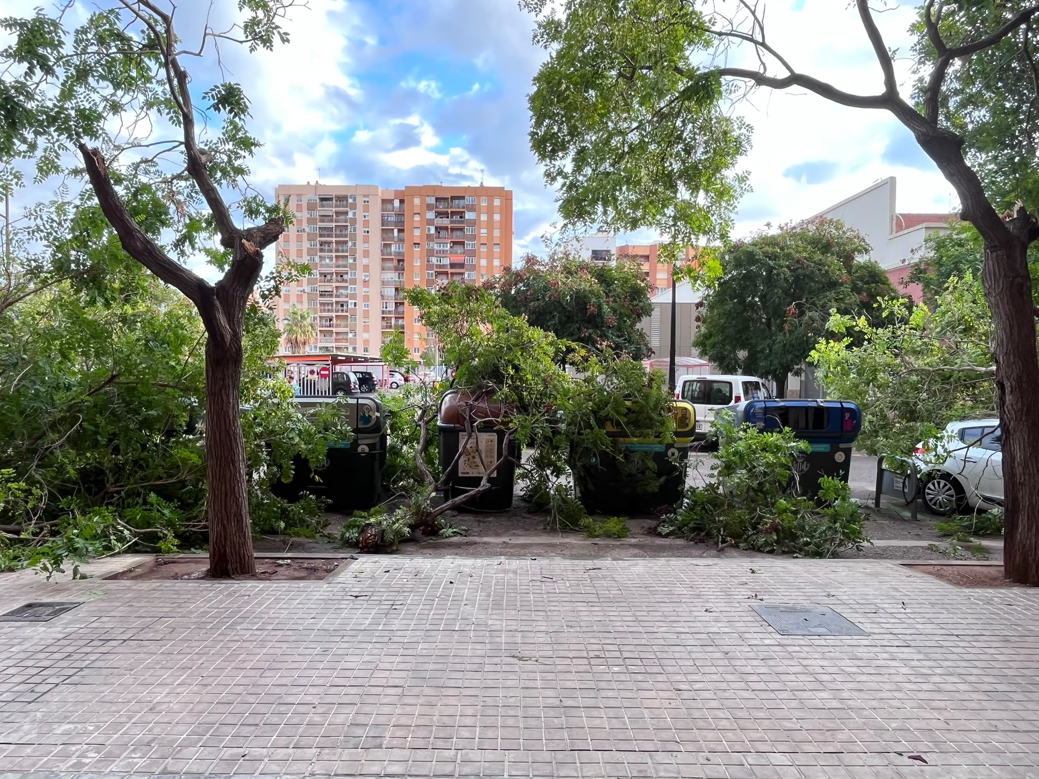 Valencia pluges