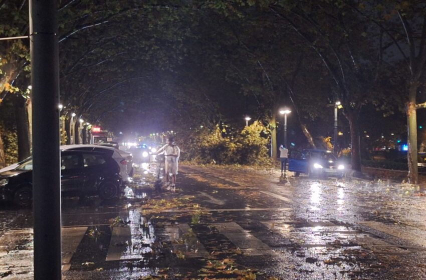  València comença a recuperar la normalitat després d’unes plutges torrencials que deixa fins a 81 l/m²