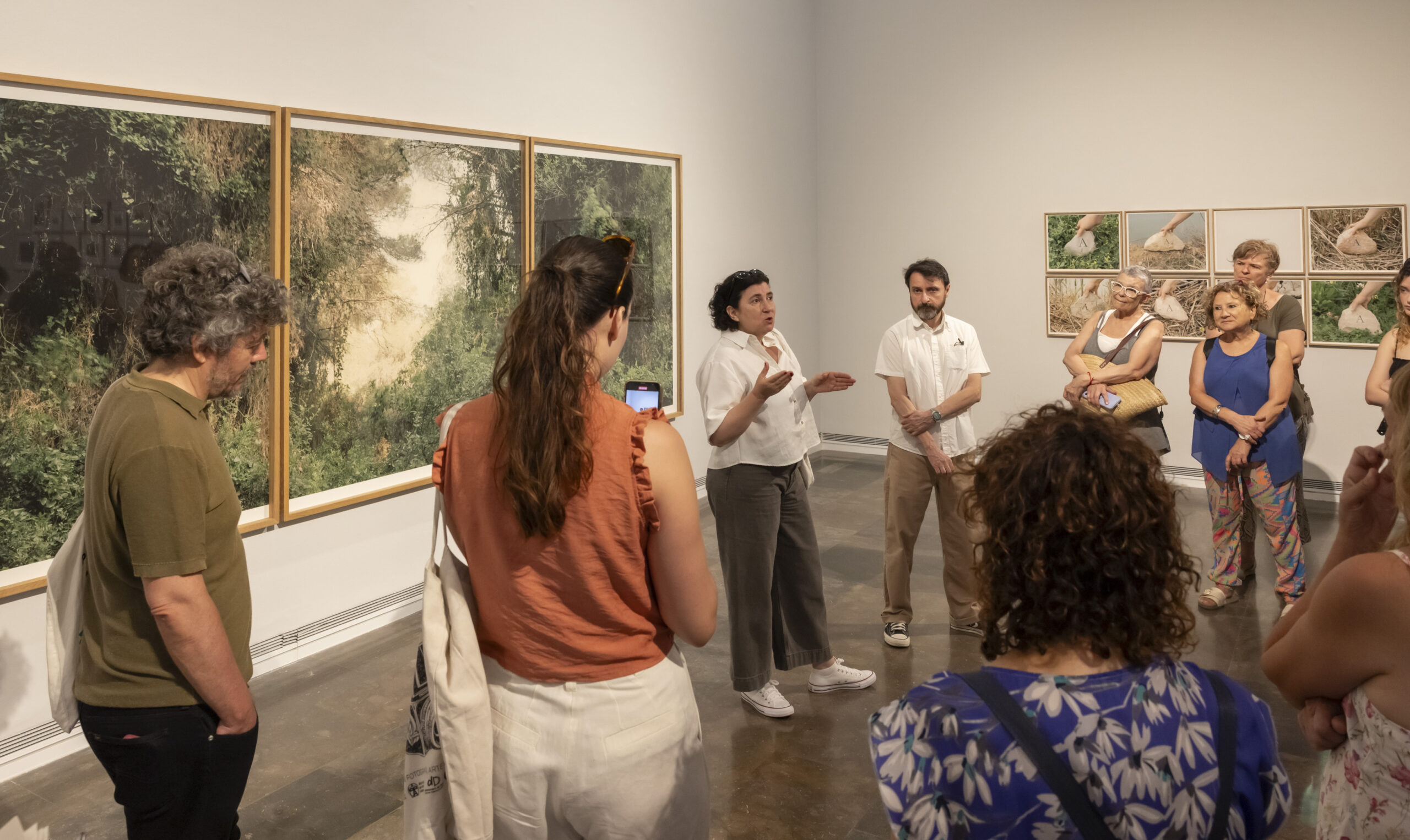 Visita comentada a la mostra L'Albufera a l'IVAM