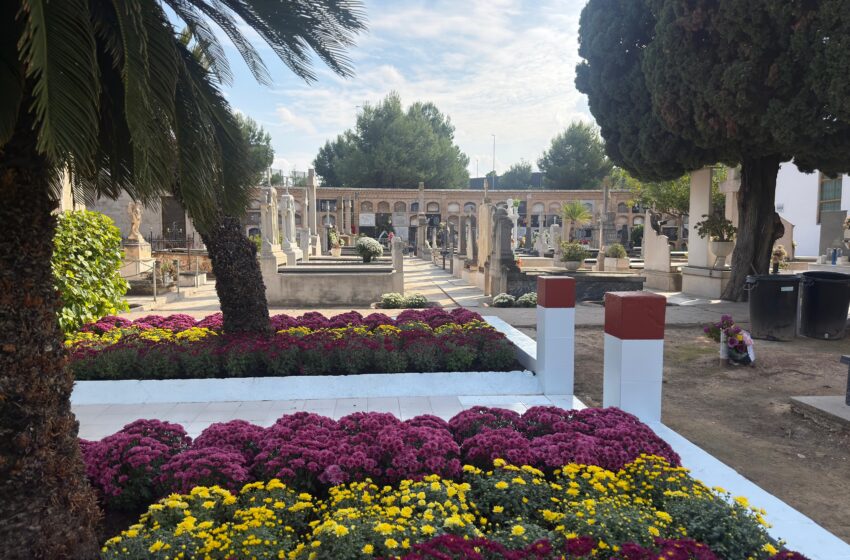  El cementeri de Paterna es prepara per a Tots Sants amb 1.900 flors i autobusos gratuïts