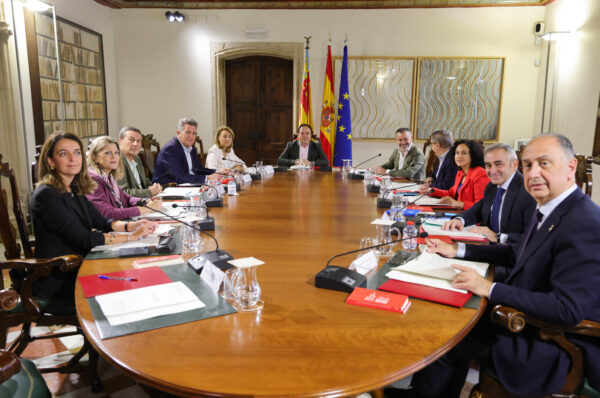 Pleno Consell