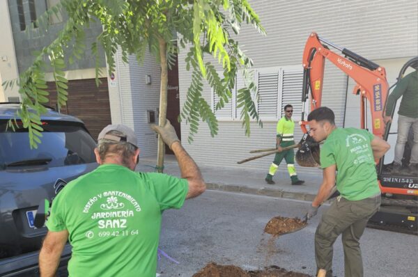 Silla planta 61 arbres de diverses espècies per a ampliar les zones d’ombra del municipi