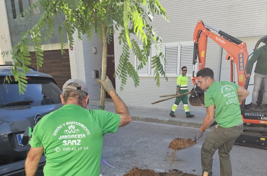  Silla planta 61 arbres de diverses espècies per a ampliar les zones d’ombra del municipi