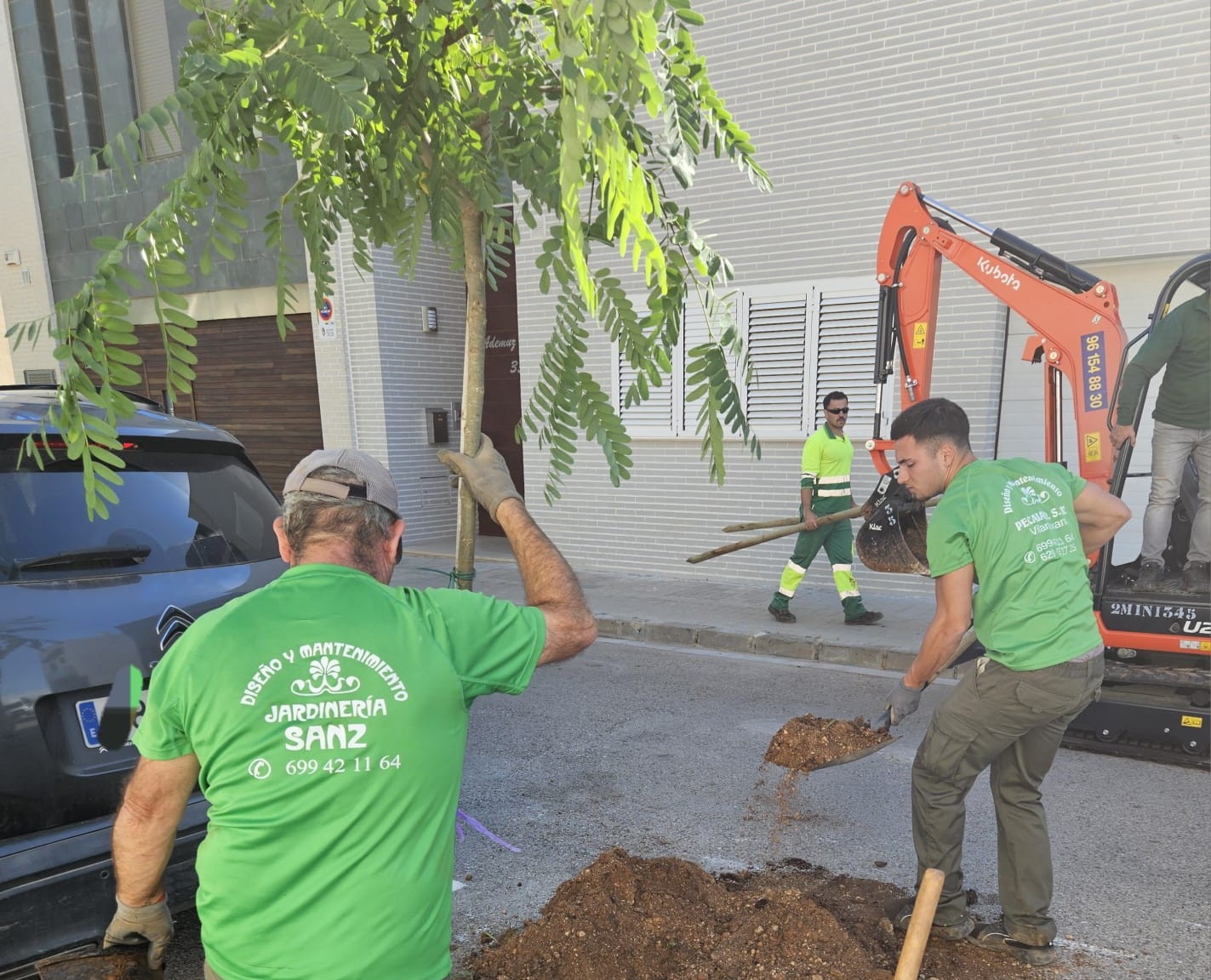 Silla planta 61 arbres de diverses espècies per a ampliar les zones d’ombra del municipi